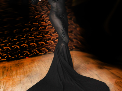 This is an original gown designed by Lauren of Castle Corsetry for Adrianne Curry of America's Next Top Model. 	